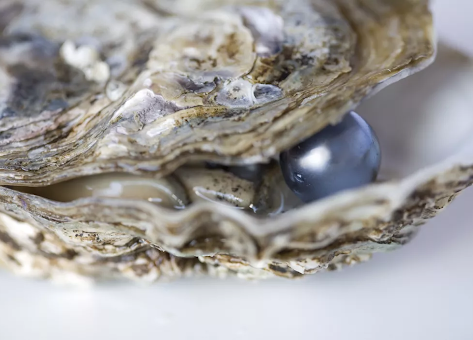 Couple Finds Pearl Worth Thousands At Restaurant