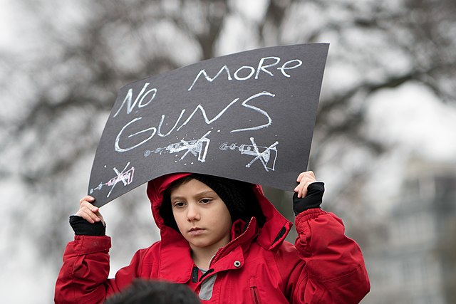 Guns in Schools