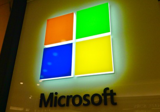 Microsoft Leaks Documents