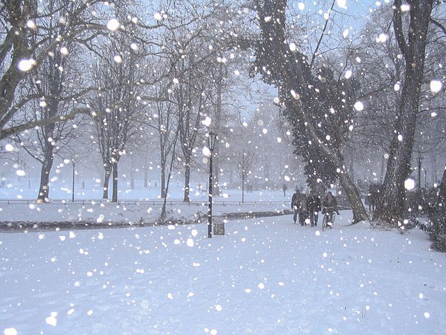Delawares First Snow of December