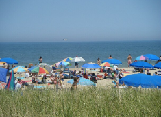 Needles Wash up on the East Coast