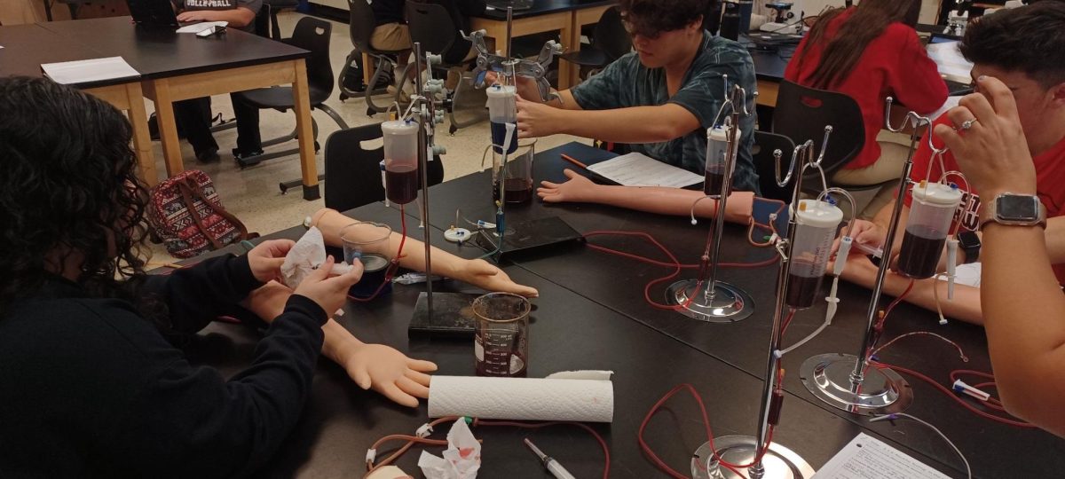 Bio-med students learning to draw blood